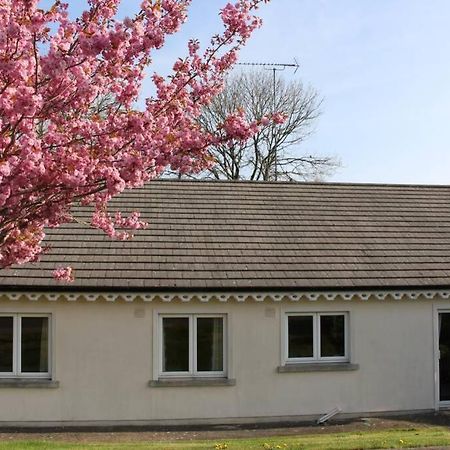 Sunny Bungalow Courtown Εξωτερικό φωτογραφία