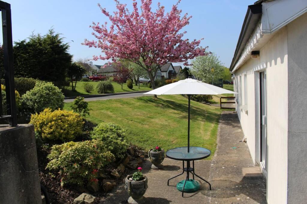 Sunny Bungalow Courtown Εξωτερικό φωτογραφία